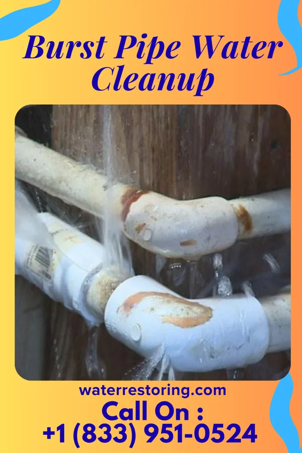 Burst Pipe Water Cleanup in Vernon Center, NJ
