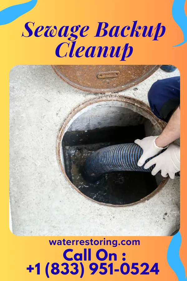 Sewage Backup Cleanup in Vernon Center, NJ